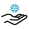 Snowflake Professional Services